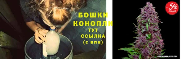 ешки Алзамай