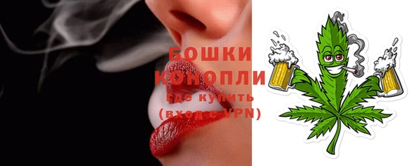 шишки Алексеевка