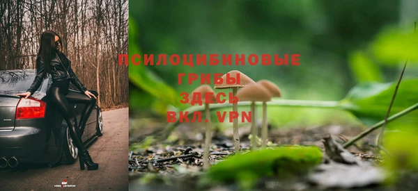 шишки Алексеевка